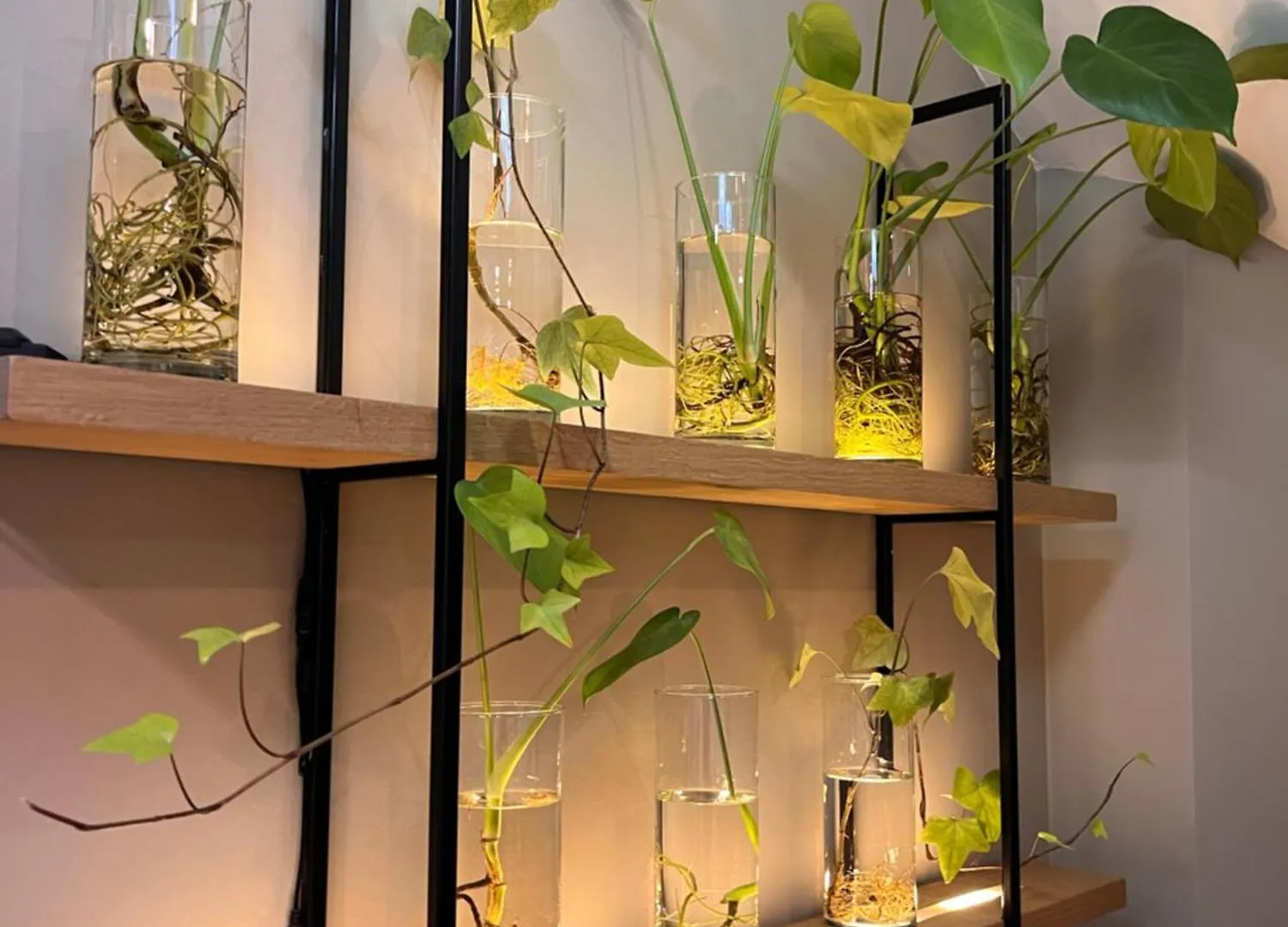 Dutch Design Hotel Vondelpark Amsterdam Hollanda